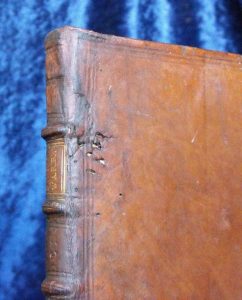 Five Decades3 sussex brighton Hove Lewes Eastbourne Worthing Seaford bookbinder bookbinding bible book repair restorer restoration