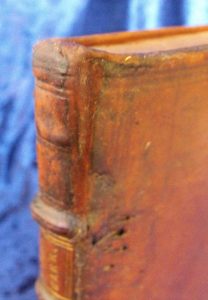 Five Decades5 sussex brighton Hove Lewes Eastbourne Worthing Seaford bookbinder bookbinding bible book repair restorer restoration