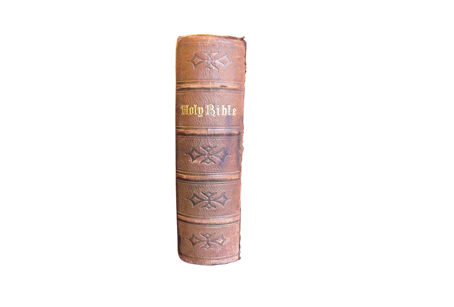 Bible Spine - Sussex Book Restoration